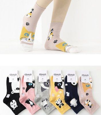 Шкарпетки жіночі Coalo socks 6267 асорті р.36-41 6267 фото