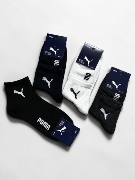 Puma фото