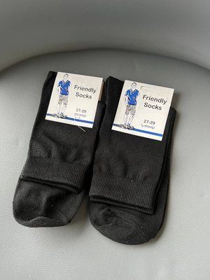 Шкарпетки чоловічі Friendly Socks стрейч р.27-29 FS man фото